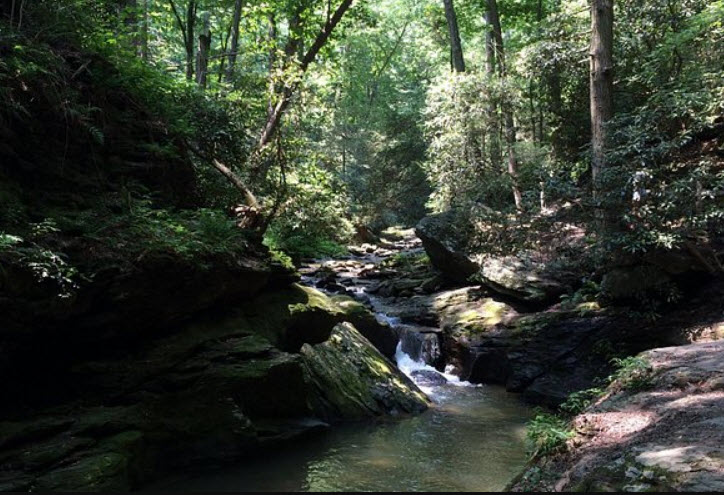 Holtwood Arboretum, United States